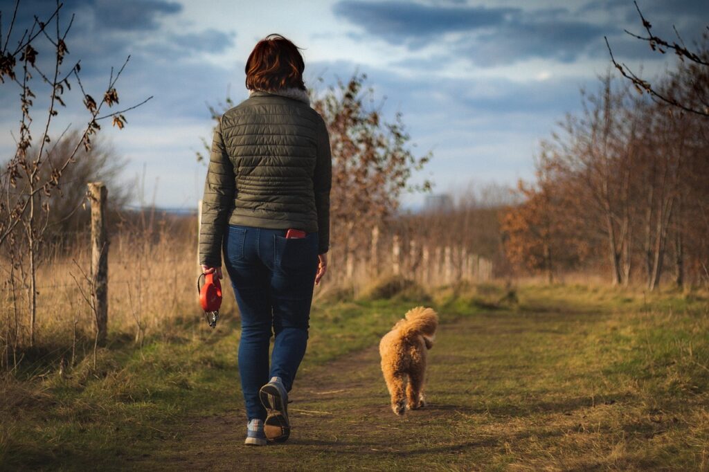 woman, dog, pet