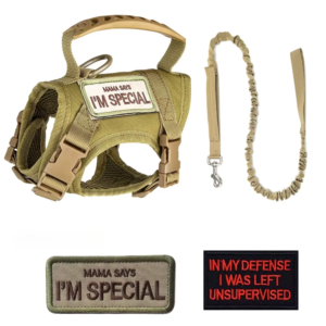 Tactical Style Cat Harness Vest, Anti-Breakaway, Adjustable, with Leash